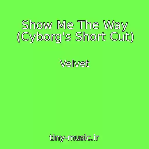 کاور آهنگ Show Me The Way (Cyborg's Short Cut) از Velvet