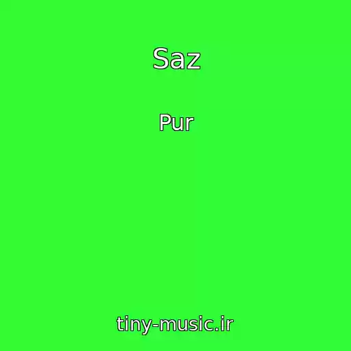 کاور آهنگ Saz از Pur
