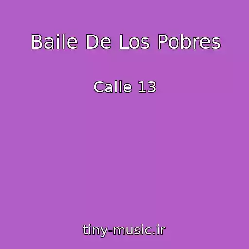 کاور آهنگ Baile De Los Pobres از Calle 13