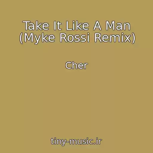 کاور آهنگ Take It Like A Man (Myke Rossi Remix) از Cher