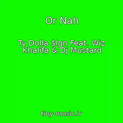کاور آهنگ Or Nah از Ty Dolla $Ign Feat. Wiz Khalifa & Dj Mustard
