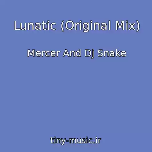 کاور آهنگ Lunatic (Original Mix) از Mercer And Dj Snake