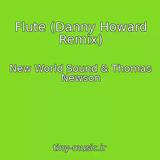 کاور آهنگ Flute (Danny Howard Remix) از New World Sound & Thomas Newson
