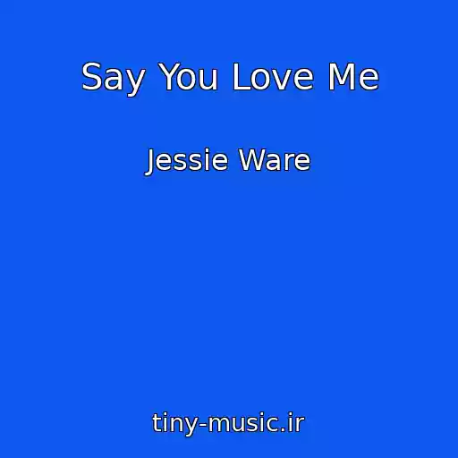 کاور آهنگ Say You Love Me از Jessie Ware