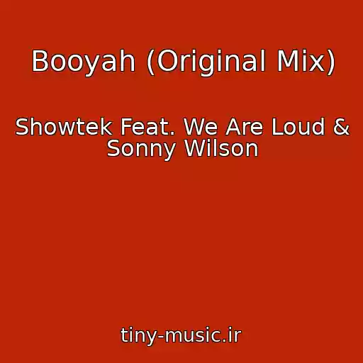 کاور آهنگ Booyah (Original Mix) از Showtek Feat. We Are Loud & Sonny Wilson