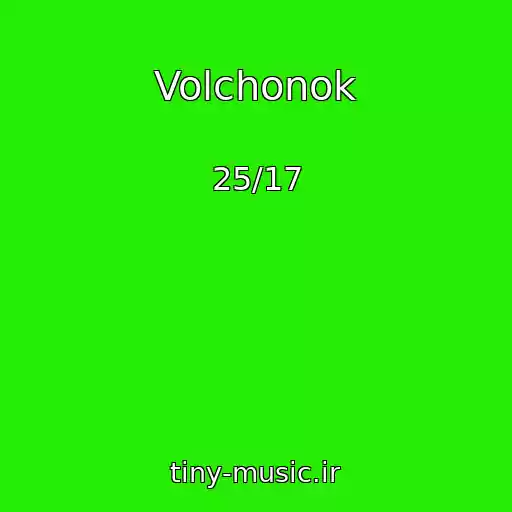 کاور آهنگ Volchonok از 25/17