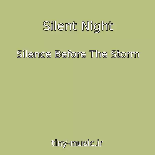 کاور آهنگ Silent Night از Silence Before The Storm