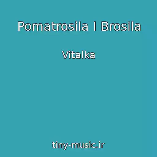 کاور آهنگ Pomatrosila I Brosila از Vitalka