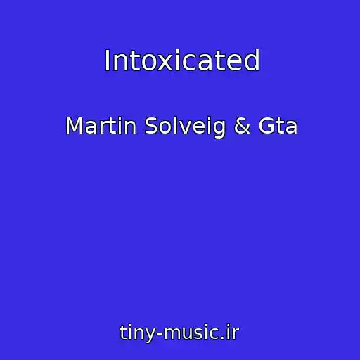 کاور آهنگ Intoxicated از Martin Solveig & Gta