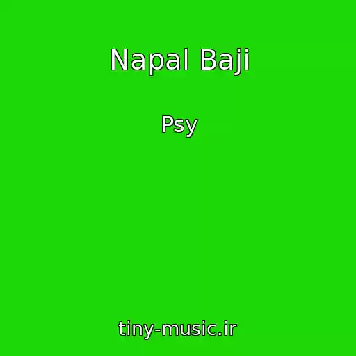 کاور آهنگ Napal Baji از Psy