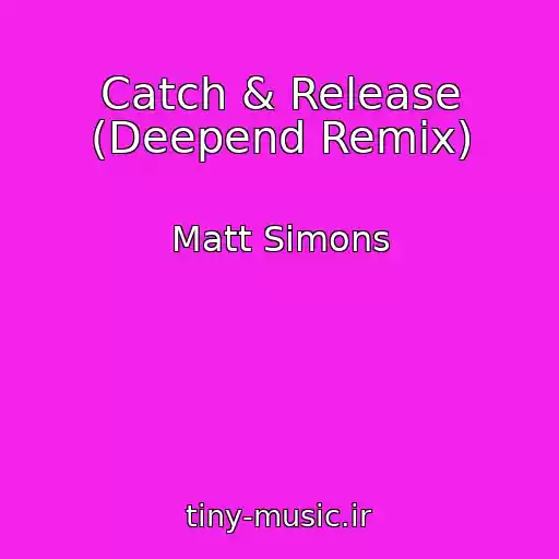 کاور آهنگ Catch & Release (Deepend Remix) از Matt Simons