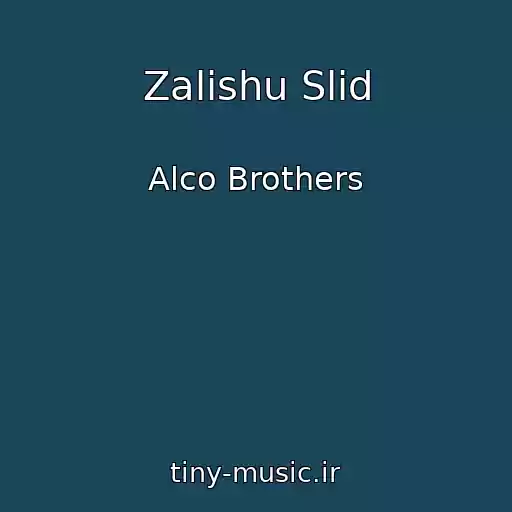 کاور آهنگ Zalishu Slіd از Alco Brothers