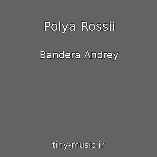 کاور آهنگ Polya Rossii از Bandera Andrey