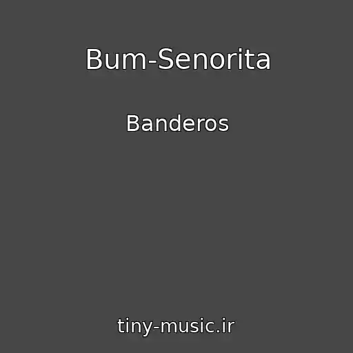 کاور آهنگ Bum-Senorita از Banderos