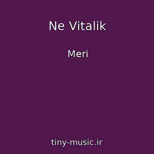 کاور آهنگ Ne Vіtalіk از Merі
