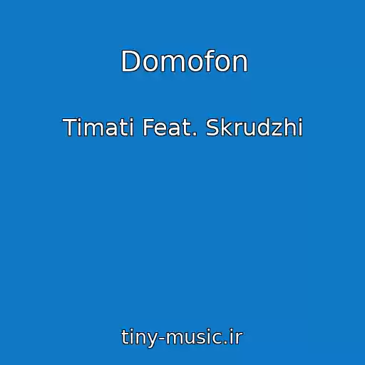 کاور آهنگ Domofon از Timati Feat. Skrudzhi