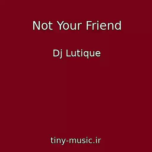 کاور آهنگ Not Your Friend از Dj Lutique