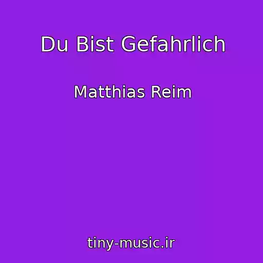 کاور آهنگ Du Bist Gefahrlich از Matthias Reim