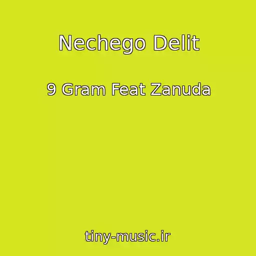 کاور آهنگ Nechego Delit از 9 Gram Feat Zanuda