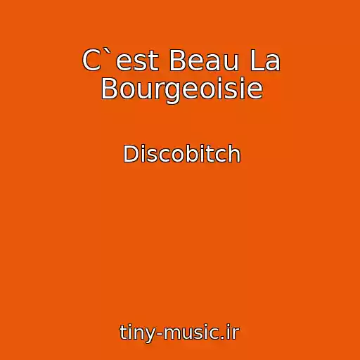 کاور آهنگ C`est Beau La Bourgeoisie از Discobitch