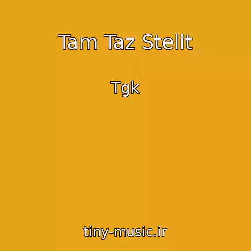 کاور آهنگ Tam Taz Stelit از Tgk
