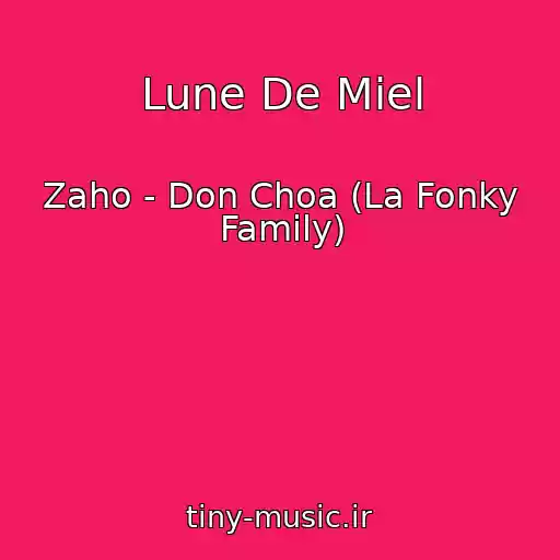کاور آهنگ Lune De Miel از Zaho - Don Choa (La Fonky Family)