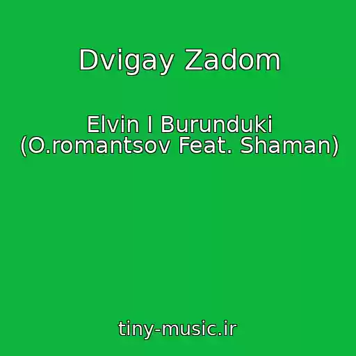 کاور آهنگ Dvigay Zadom از Elvin I Burunduki (O.romantsov Feat. Shaman)