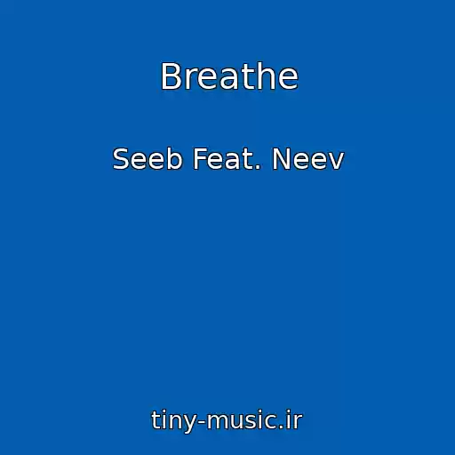 کاور آهنگ Breathe از Seeb Feat. Neev