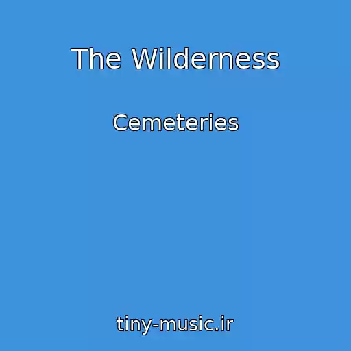 کاور آهنگ The Wilderness از Cemeteries