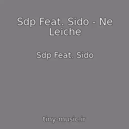 کاور آهنگ Sdp Feat. Sido - Ne Leiche از Sdp Feat. Sido