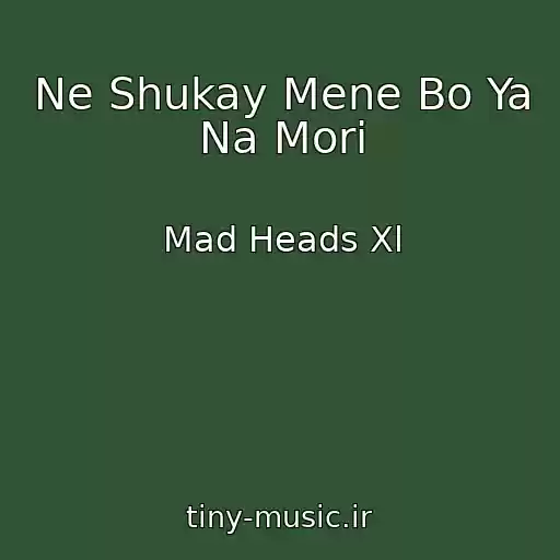 کاور آهنگ Ne Shukay Mene Bo Ya Na Morі از Mad Heads Xl