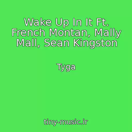 کاور آهنگ Wake Up In It Ft. French Montan, Mally Mall, Sean Kingston از Tyga
