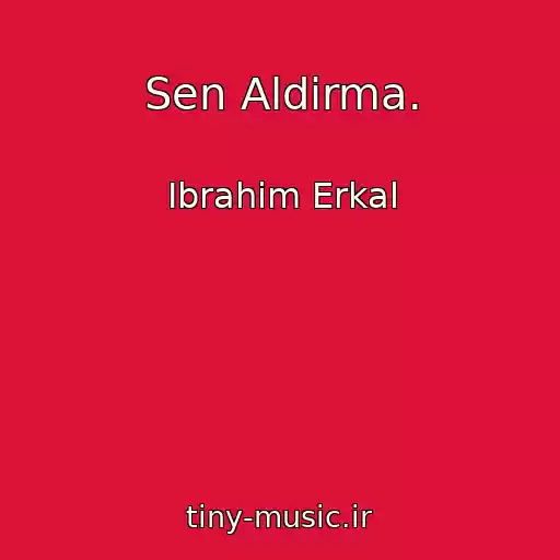 کاور آهنگ Sen Aldirma. از Ibrahim Erkal