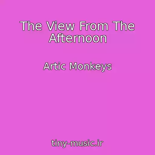 کاور آهنگ The View From The Afternoon از Artic Monkeys
