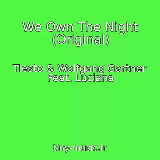 کاور آهنگ We Own The Night (Original) از Tiesto & Wolfgang Gartner Feat. Luciana