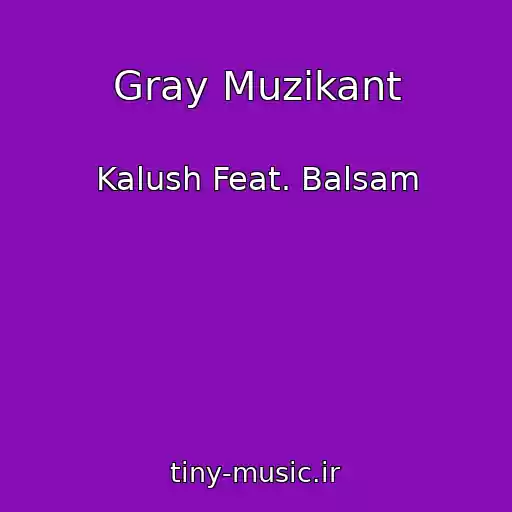 کاور آهنگ Gray Muzikant از Kalush Feat. Balsam