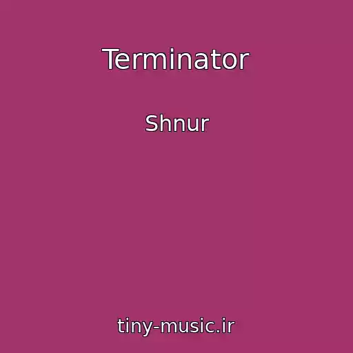کاور آهنگ Terminator از Shnur