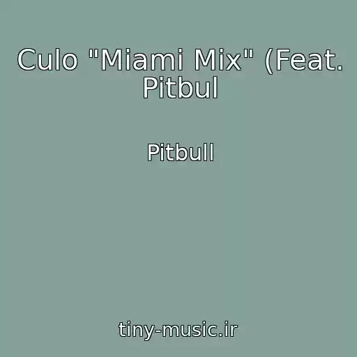 کاور آهنگ Culo "Miami Mix" (Feat. Pitbul از Pitbull