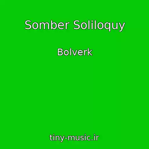 کاور آهنگ Somber Soliloquy از Bolverk
