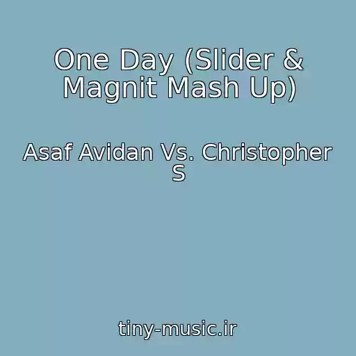 کاور آهنگ One Day (Slider & Magnit Mash Up) از Asaf Avidan Vs. Christopher S