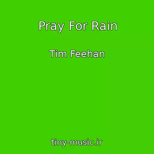 کاور آهنگ Pray For Rain از Tim Feehan