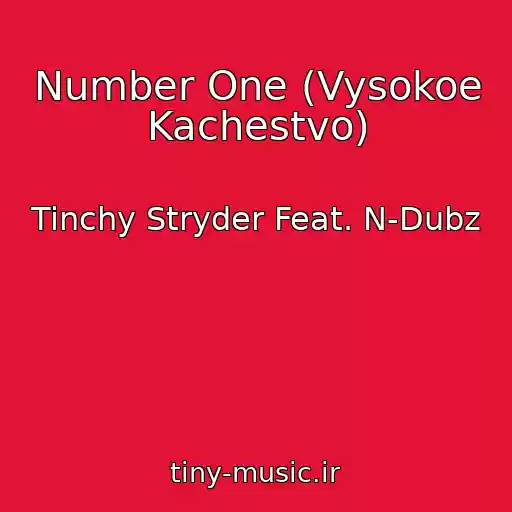کاور آهنگ Number One (Vysokoe Kachestvo) از Tinchy Stryder Feat. N-Dubz
