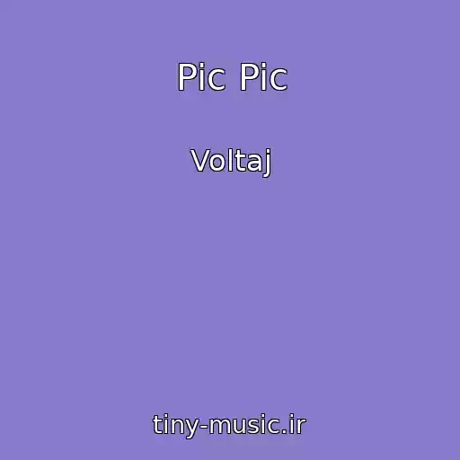 کاور آهنگ Pic Pic از Voltaj
