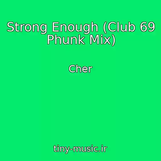 کاور آهنگ Strong Enough (Club 69 Phunk Mix) از Cher