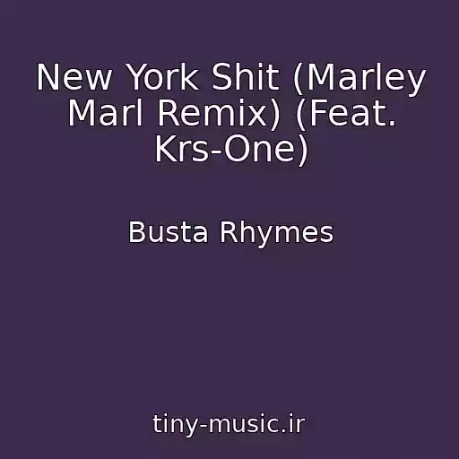 کاور آهنگ New York Shit (Marley Marl Remix) (Feat. Krs-One) از Busta Rhymes