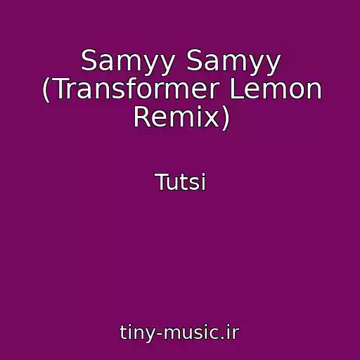 کاور آهنگ Samyy Samyy (Transformer Lemon Remix) از Tutsi