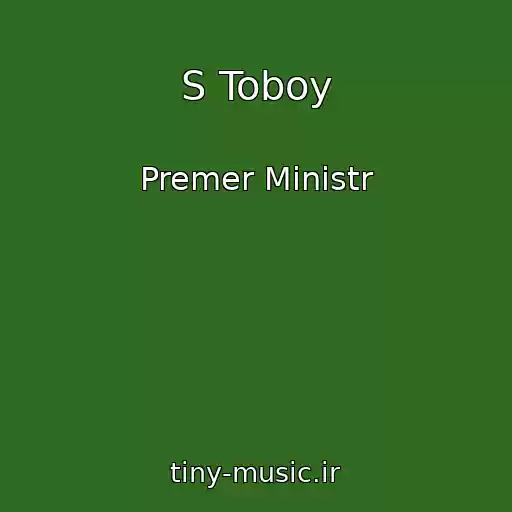 کاور آهنگ S Toboy از Premer Ministr