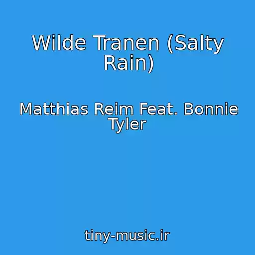 کاور آهنگ Wilde Tranen (Salty Rain) از Matthias Reim Feat. Bonnie Tyler