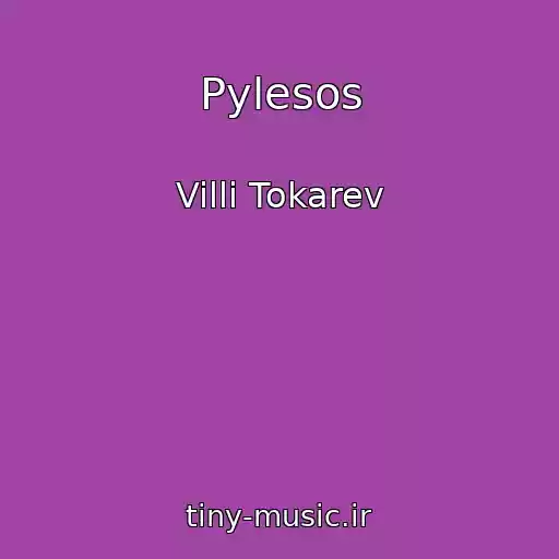 کاور آهنگ Pylesos از Villi Tokarev
