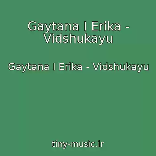 کاور آهنگ Gaytana I Erika - Vіdshukayu از Gaytana I Erika - Vіdshukayu